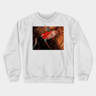 Red-and-green Macaw Crewneck Sweatshirt